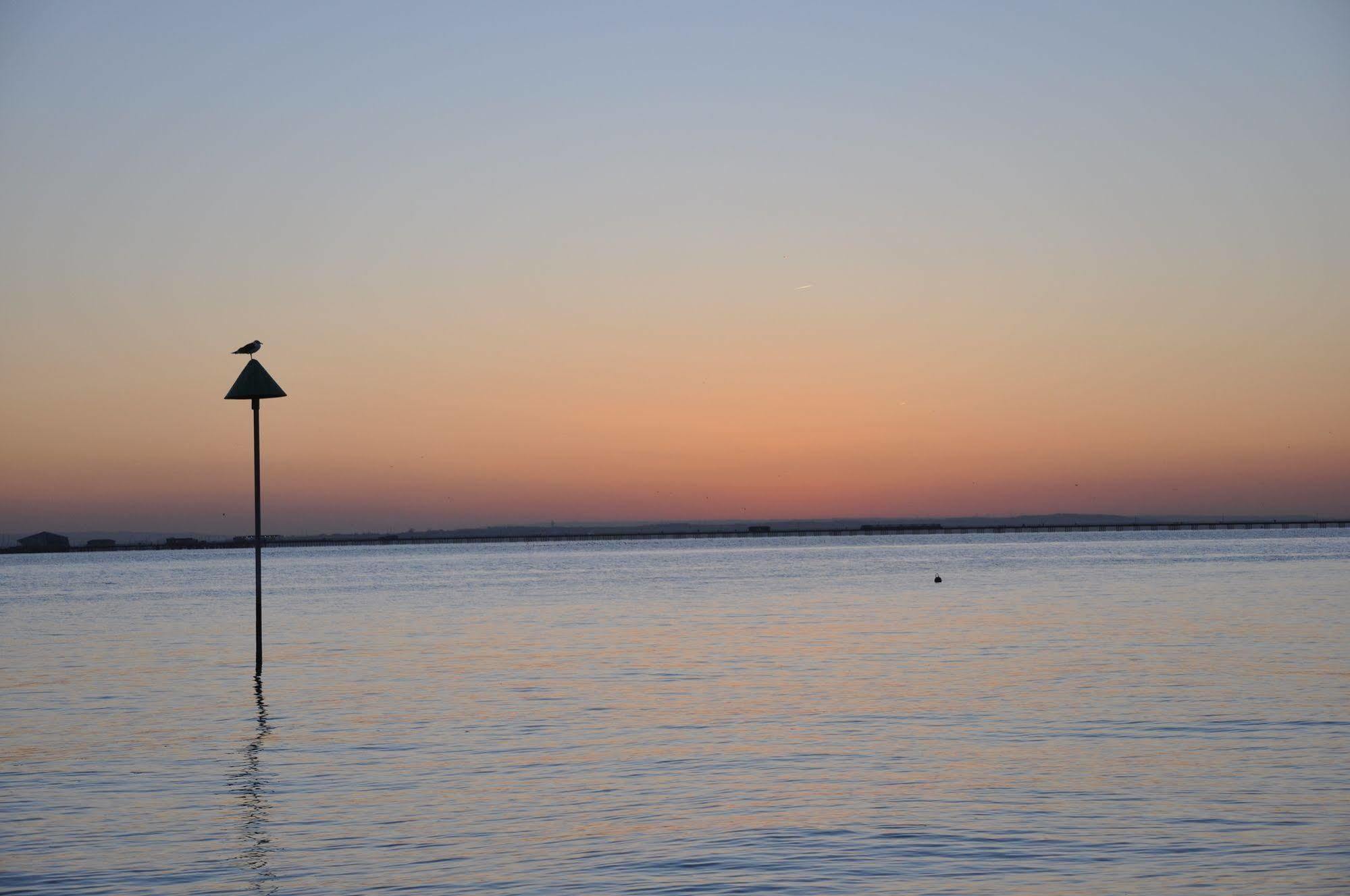 Camelia Hotel Southend-on-Sea Buitenkant foto